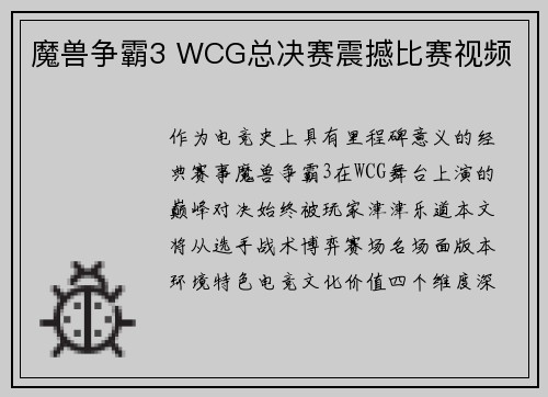 魔兽争霸3 WCG总决赛震撼比赛视频